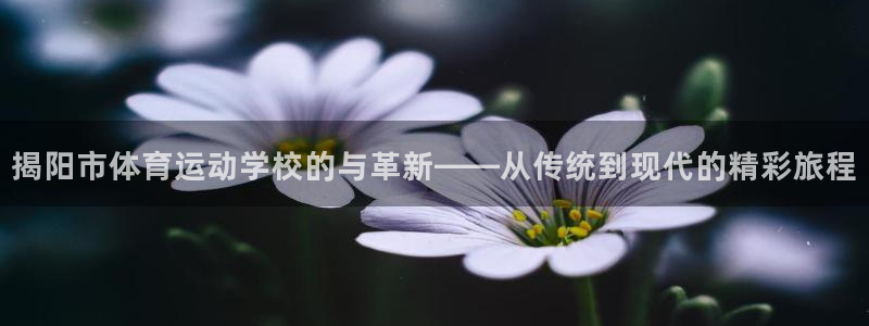 蜘蛛体育免费直播nbaqiusai.jingdian.中国