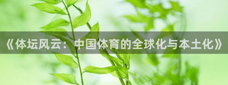 蜘蛛体育足球直播入口