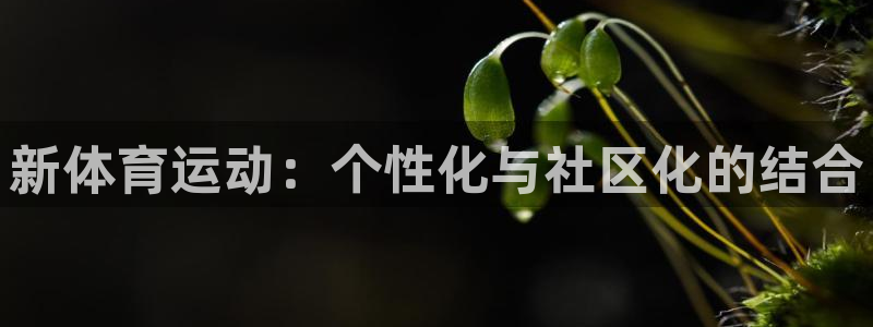 蜘蛛体育app下载安装：新体育运动：个性化与社区化的结合