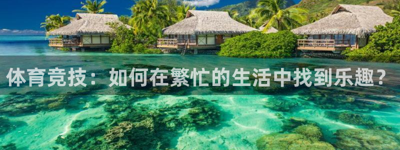 蜘蛛体育斯诺克：体育竞技：如何在繁忙的生活中找到乐趣？