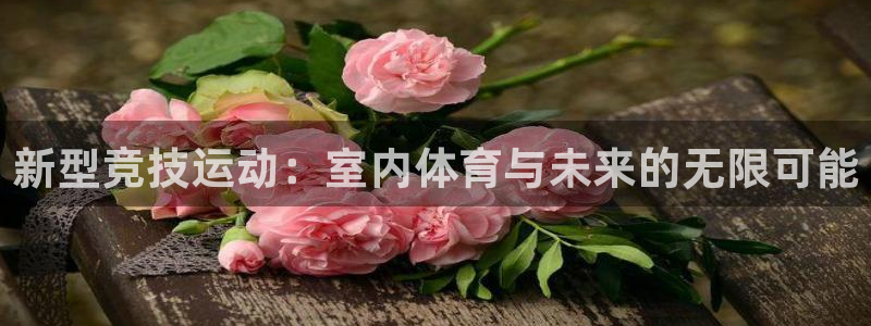 蜘蛛体育新版.sujin.中国