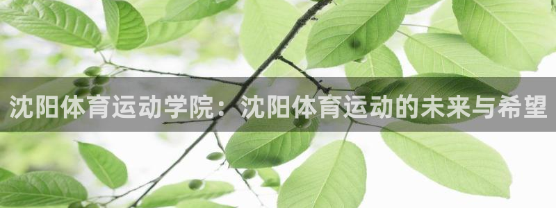 蜘蛛体育直播nba